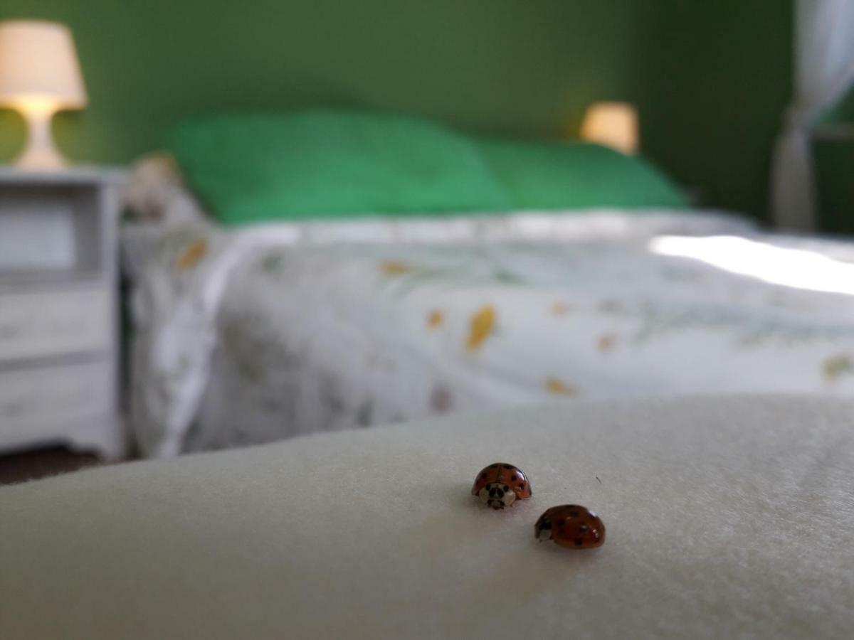 Santa Restituta Alle Preci Country House מראה חיצוני תמונה