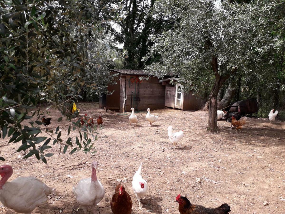Santa Restituta Alle Preci Country House מראה חיצוני תמונה